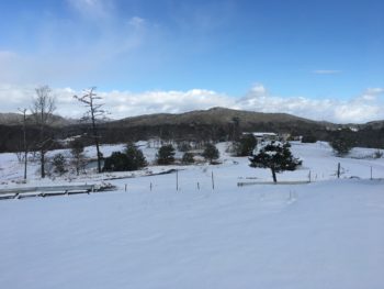 明けましておめでとうございます。