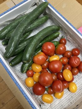 夏季休業のお知らせ